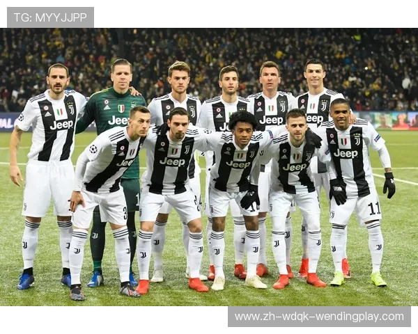 意甲几支球队比赛：意甲联赛中参赛的球队数量与分布