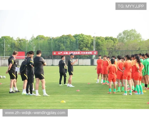 青少年足球发展亟需专业化认证体系支撑